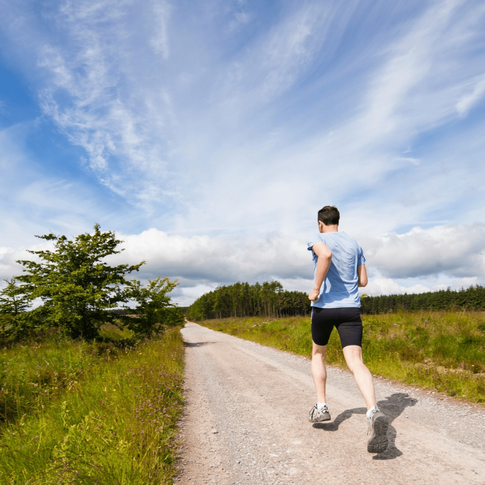 Laeufer in der Natur